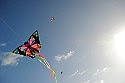 Head to Horseshoe for Good Friday Kite Festival