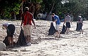 Shelly Bay cleanup inspires ACCA members