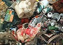 Volunteers needed for marine clean-up