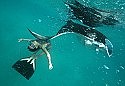 Free diver talks on the draw of the deep