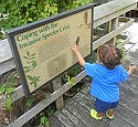A healthy environment benefits all of us