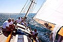 Newport-Bermuda Race 2012