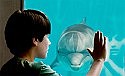 Movie review: Dolphin Tale ***