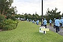 Diabetes walk and health screening this Saturday