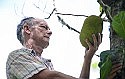 Ever seen a jackfruit in Bermuda?