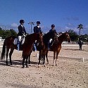 Bermuda clinches dressage victory