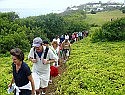 Hundreds enjoy Palm Sunday walk