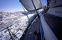 Marion-Bermuda yacht race 2011