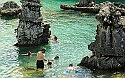 Ecotourism could be business niche for Bermuda