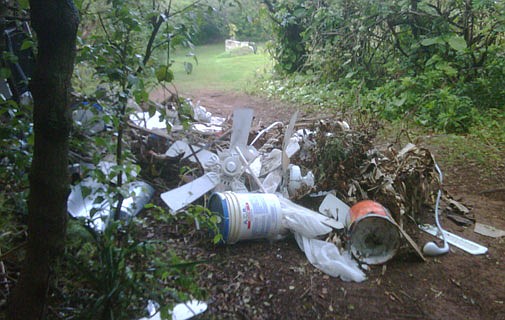 Volunteers sought for St George’s clean-up