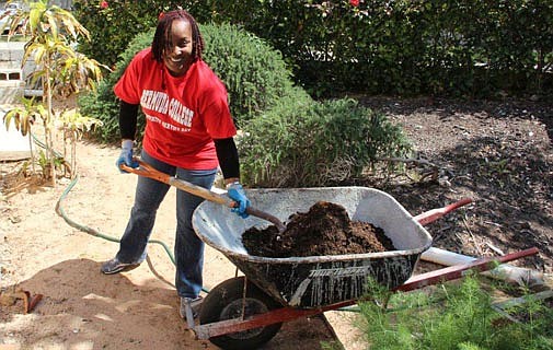 Bermuda College covers the island in community service 