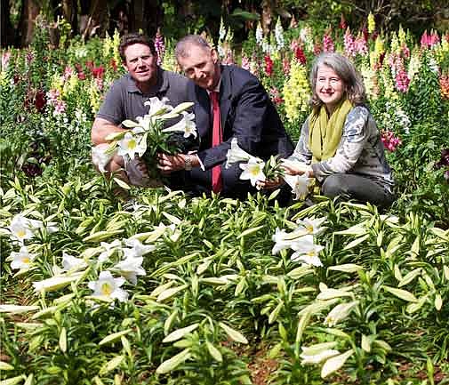 Queen's lilies on their way to London