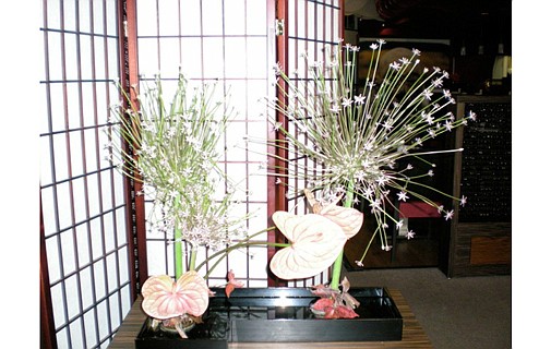 Ikebana show to complement photography exhibition