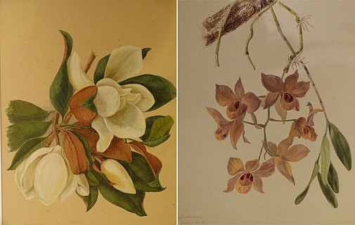ACE showcases heritage with Lefroy paintings