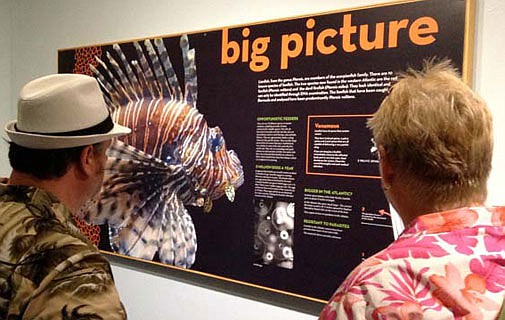 BUEI seeks lionfish guides for new exhibit