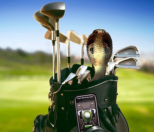 Snake’s likely golf bag voyage