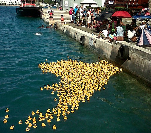 Ducky derby raises a waddle of cash