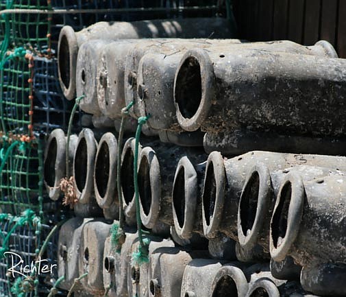 ‘Alarming’ amount of octopus pots being found