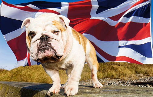 Bermuda takes a mauling on tax