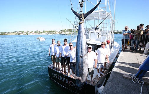 Overproof lands 641lb marlin