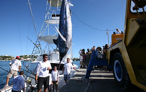 Fishing crews bring in millions