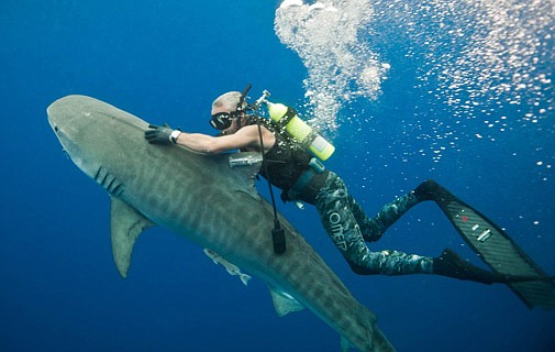 Dr Burnie to share his underwater adventures at lecture tonight