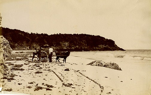 Can you identify this mystery beach?