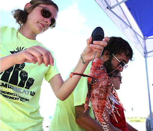 Lionfish Tournament - the view from down under