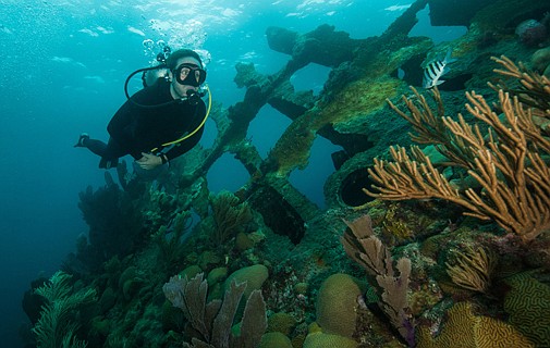 Cousteau trip sparks global interest