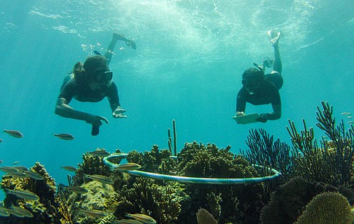 Reef Watch raise more than $15k