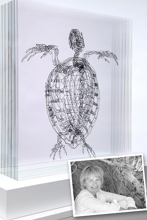 Anatomical sea turtle  artwork helps to raise awareness of conservation