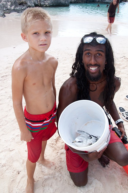 Boy saves baby longtail