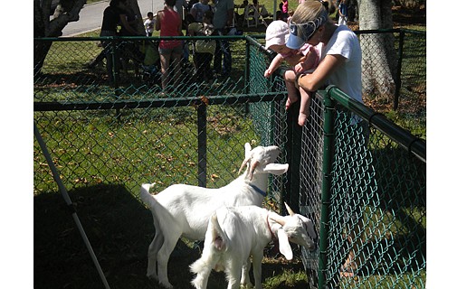 Join the pet parade at the SPCA Expo and Fair