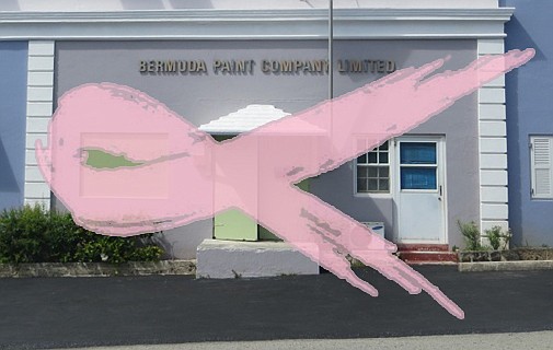 'Paint the Town Pink' with Bermuda Paint