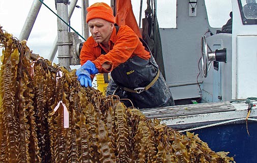 Ocean farms could bring new work to Bermuda