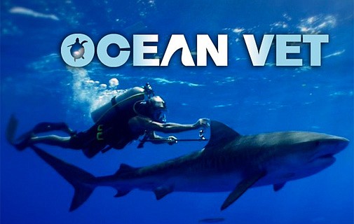 Ocean Vet pilot film released