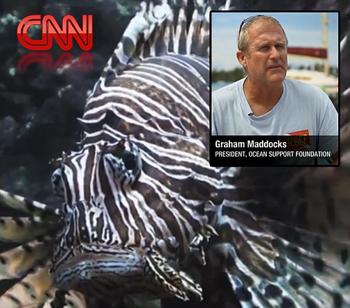 Bermuda's lionfish invasion featured in CNN documentary