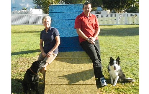 Bermuda dogs competing at Agility Invitational