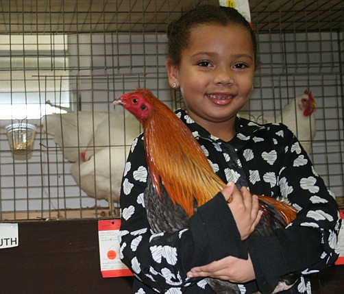 A lot to cluck about at Poultry Society’s show