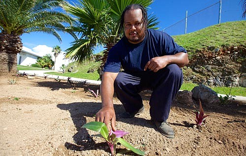 Life inside: A murderer tends to his flowerbed