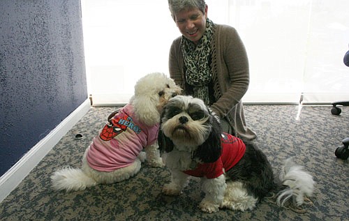 Pooches ready for Spidey-themed Earth Day