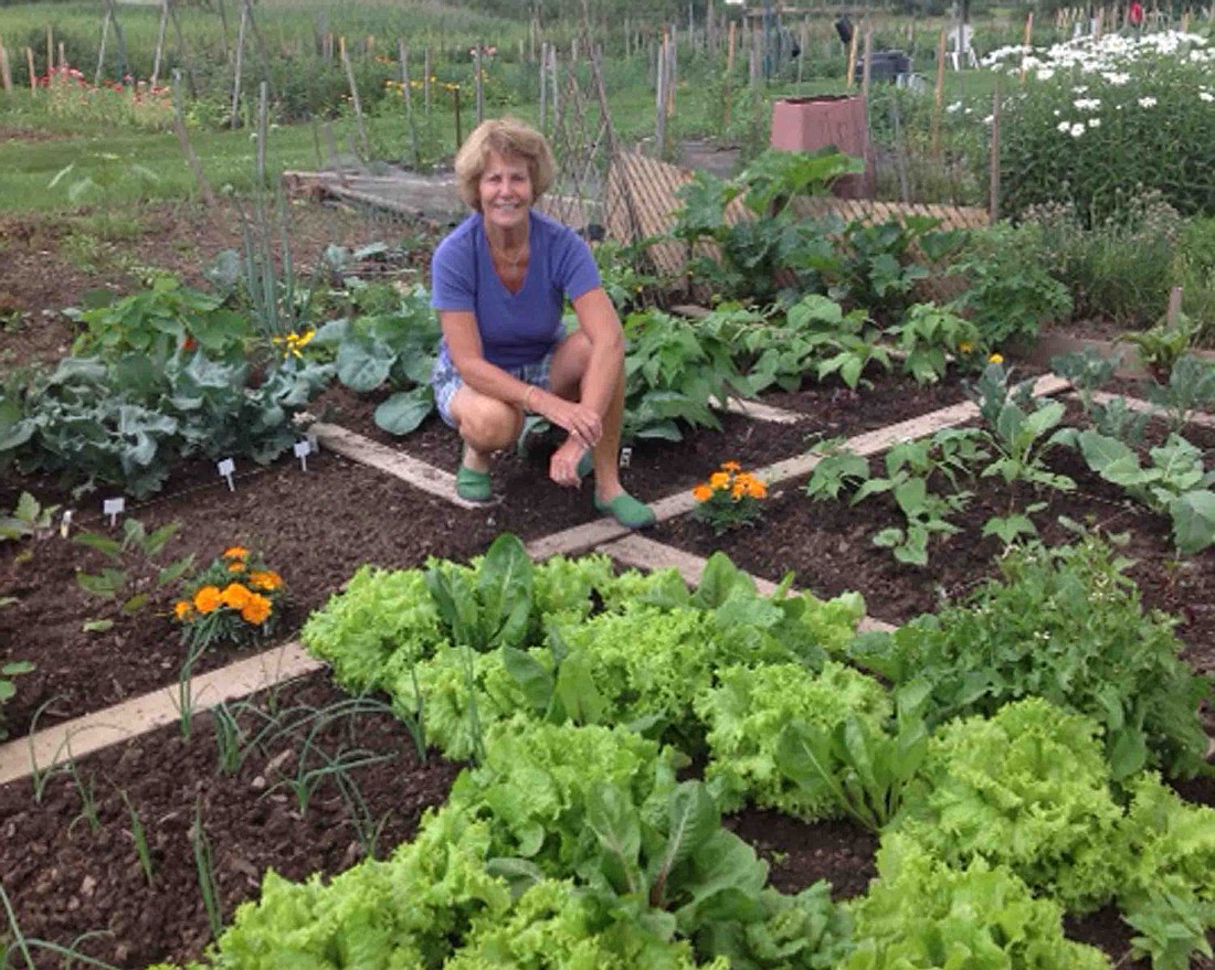 Starting your own veggie garden feeds the soul