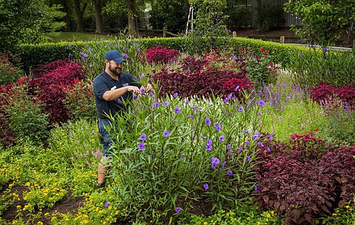 Consumer Affairs: Five basic tips to consider before hiring a landscaper