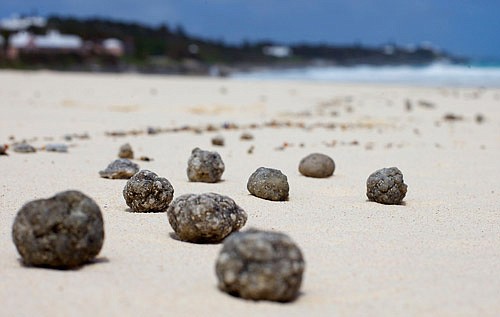 Greenrock on 'greaseballs': Tourism dies if we don't protect environment