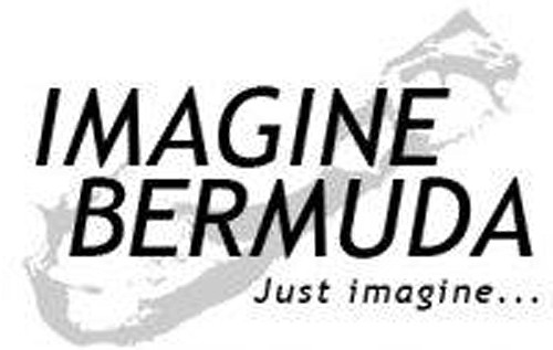 Imagine Bermuda promotes free online education