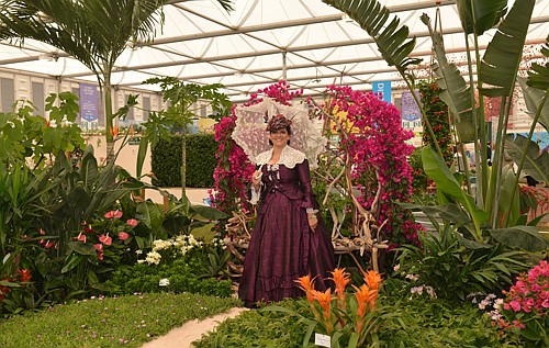  Bermuda garden at Chelsea Flower Show wins bronze