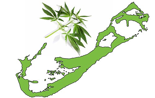 Jamaica could change pot possession law