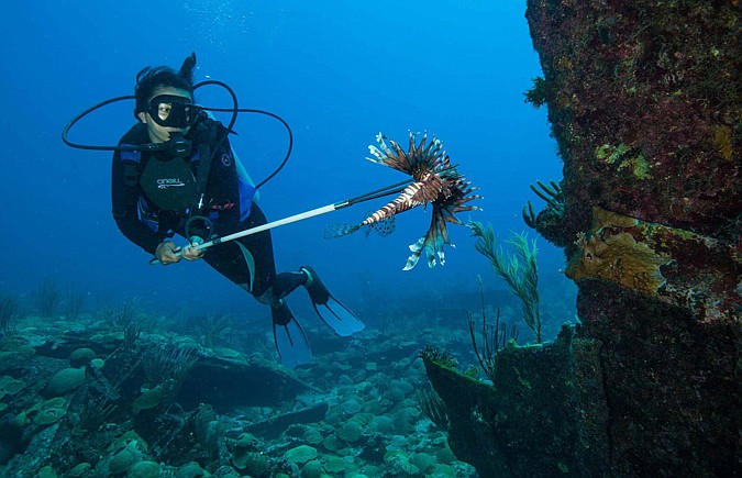 Making a change: Sarah Lagan joined the fight against invasive lionfish by getting her spearing licence and writing stories to raise awareness.