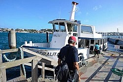 Only Blue and Harbour ferries available Monday