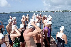 Bermuda Amateur Swimming Association